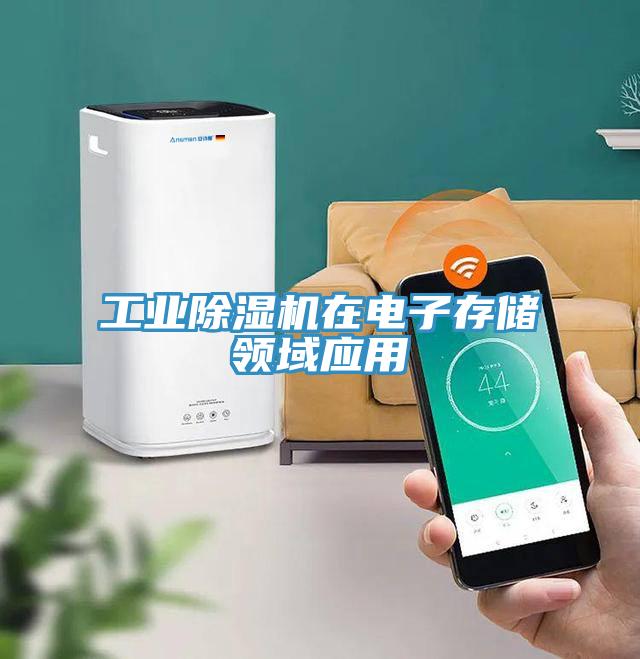 工業草莓视频污污污污在電子存儲領域應用