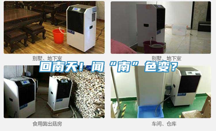 回南天！聞“南”色變？