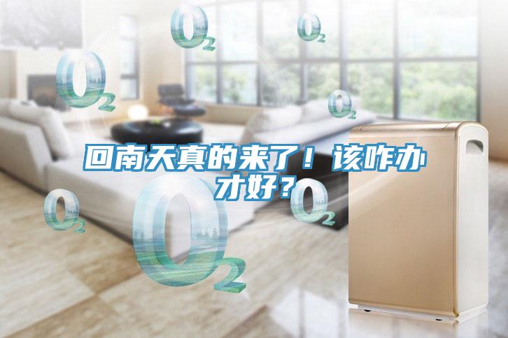 回南天真的來了！該咋辦才好？