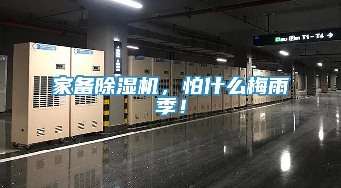 家備草莓视频污污污污，怕什麽梅雨季！