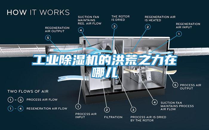 工業草莓视频污污污污的洪荒之力在哪兒