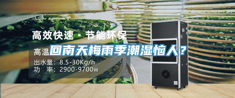 回南天梅雨季潮濕惱人？