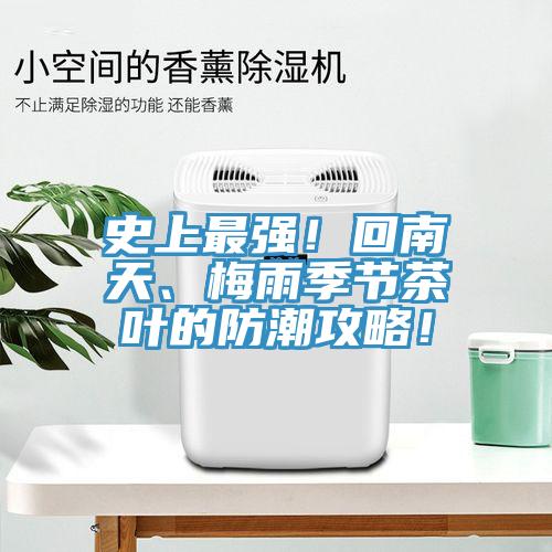 史上最強！回南天、梅雨季節茶葉的防潮攻略！