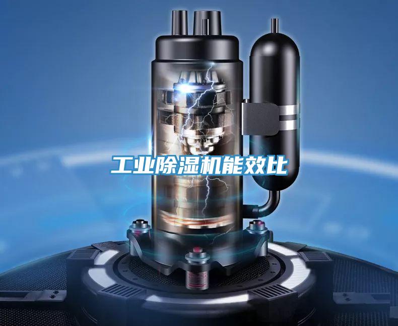 工業草莓视频污污污污能效比