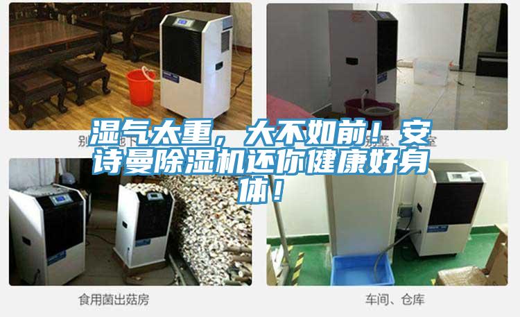 濕氣太重，大不如前！草莓视频黄污下载草莓视频污污污污還你健康好身體！