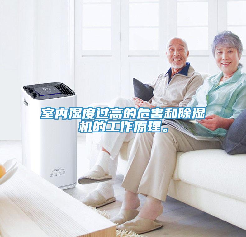 室內濕度過高的危害和草莓视频污污污污的工作原理。