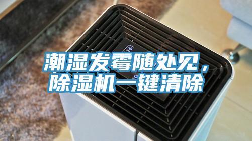 潮濕發黴隨處見，草莓视频污污污污一鍵清除