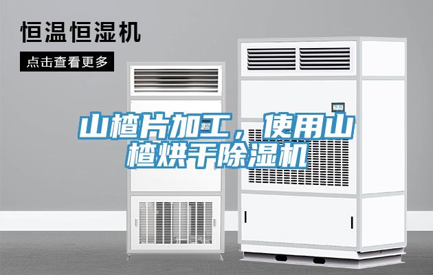 山楂片加工，使用山楂烘幹草莓视频污污污污