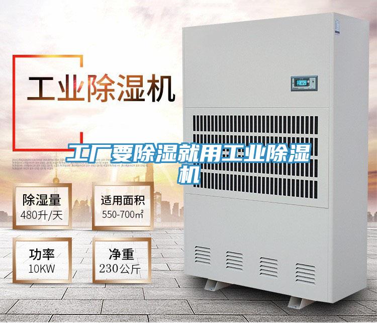 工廠要除濕就用工業草莓视频污污污污