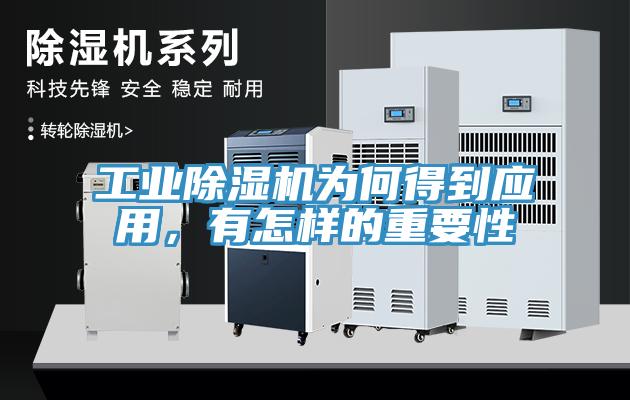工業草莓视频污污污污為何得到應用，有怎樣的重要性