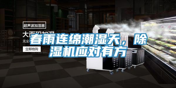 春雨連綿潮濕天，草莓视频污污污污應對有方