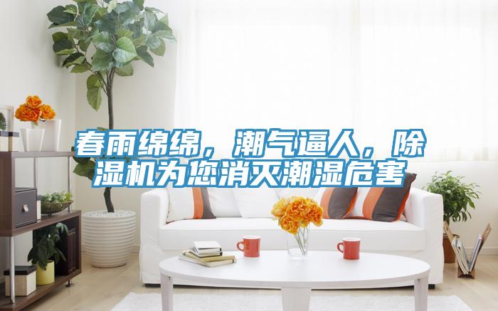 春雨綿綿，潮氣逼人，草莓视频污污污污為您消滅潮濕危害