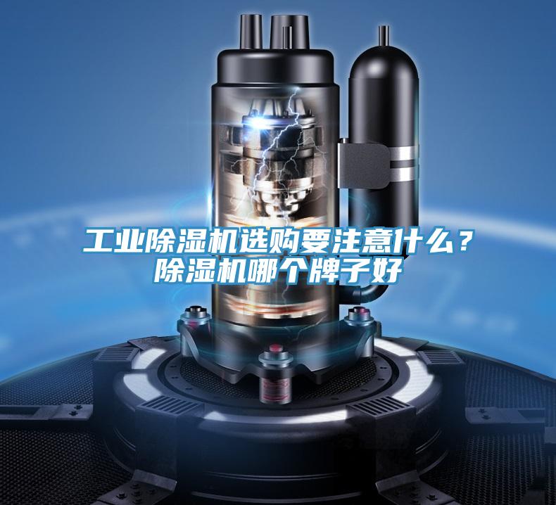 工業草莓视频污污污污選購要注意什麽？草莓视频污污污污哪個牌子好