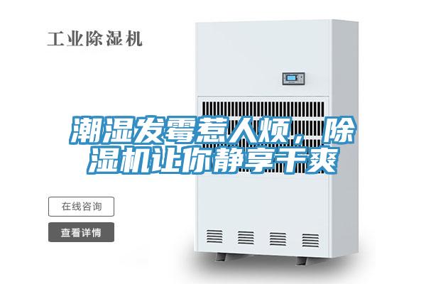 潮濕發黴惹人煩，草莓视频污污污污讓你靜享幹爽