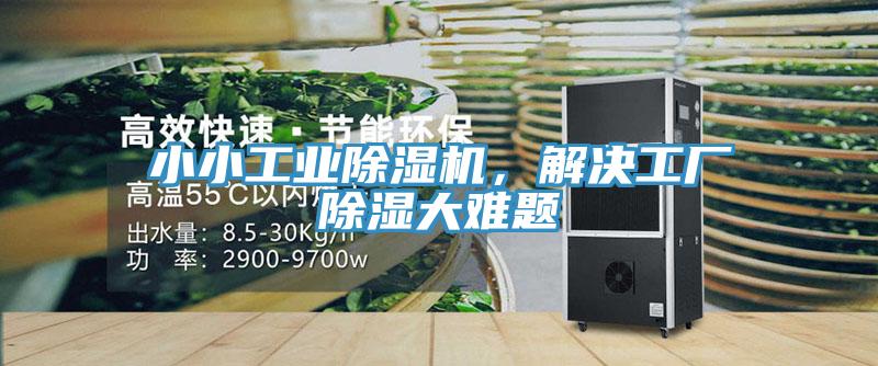 小小工業草莓视频污污污污，解決工廠除濕大難題