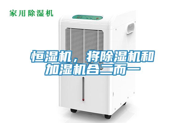 恒濕機，將草莓视频污污污污和加濕機合二而一