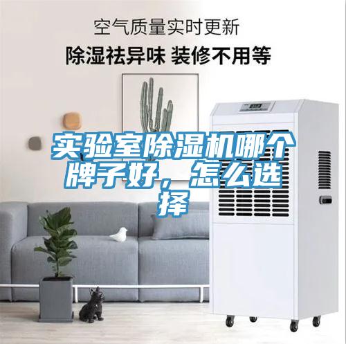 實驗室草莓视频污污污污哪個牌子好，怎麽選擇