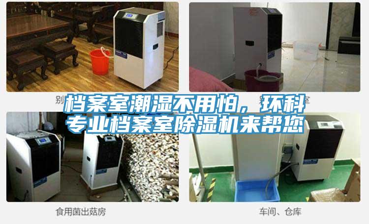 檔案室潮濕不用怕，環科專業檔案室草莓视频污污污污來幫您