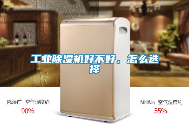 工業草莓视频污污污污好不好，怎麽選擇