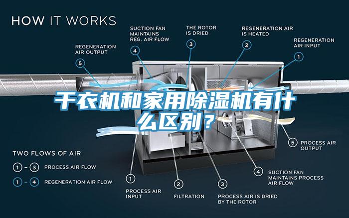 幹衣機和家用草莓视频污污污污有什麽區別？