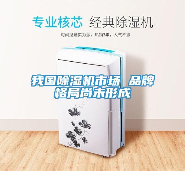 我國草莓视频污污污污市場 品牌格局尚未形成
