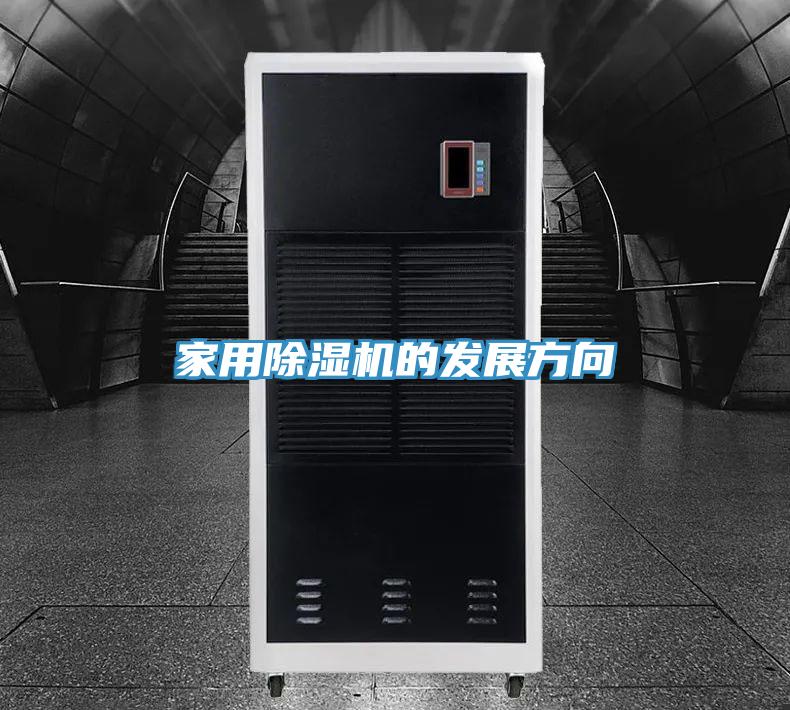 家用草莓视频污污污污的發展方向