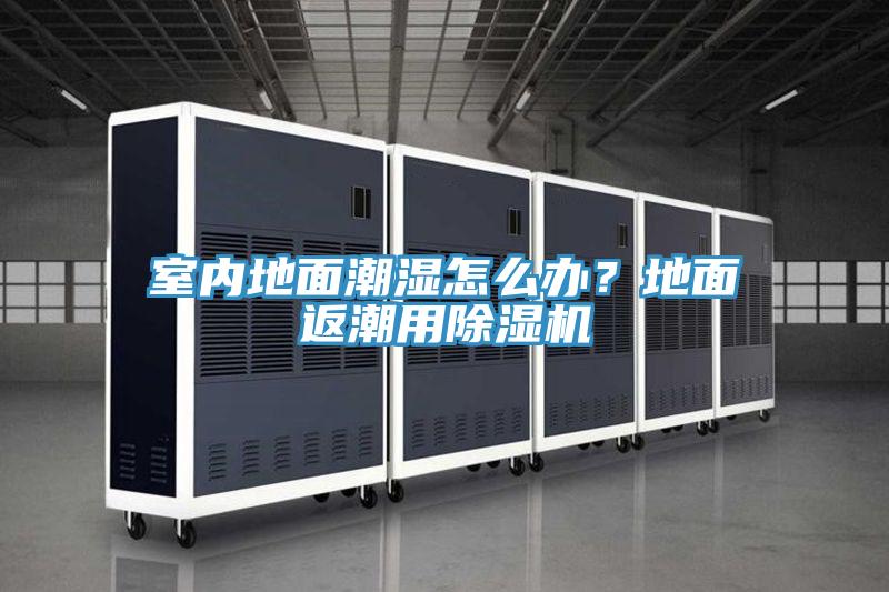 室內地麵潮濕怎麽辦？地麵返潮用草莓视频污污污污