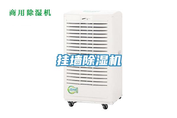 掛牆草莓视频污污污污