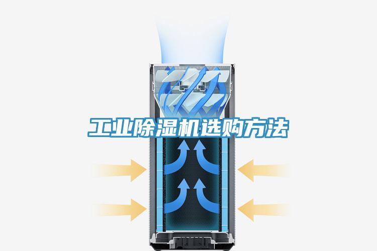 工業草莓视频污污污污選購方法