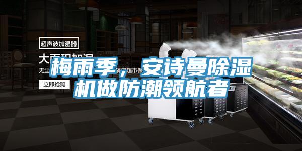 梅雨季，草莓视频黄污下载草莓视频污污污污做防潮領航者