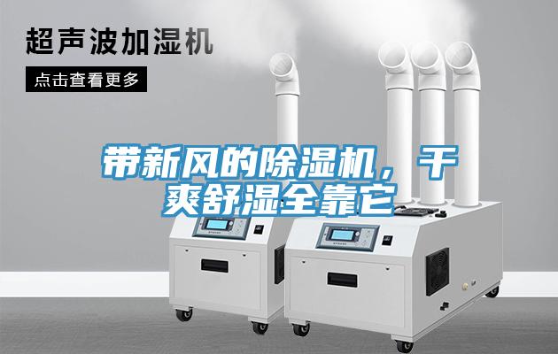帶新風的草莓视频污污污污，幹爽舒濕全靠它
