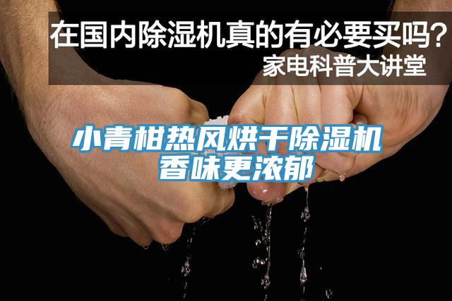 小青柑熱風烘幹草莓视频污污污污 香味更濃鬱