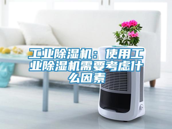 工業草莓视频污污污污：使用工業草莓视频污污污污需要考慮什麽因素