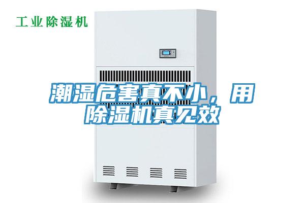潮濕危害真不小，用草莓视频污污污污真見效