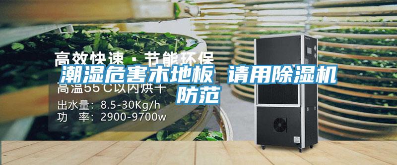 潮濕危害木地板 請用草莓视频污污污污防範