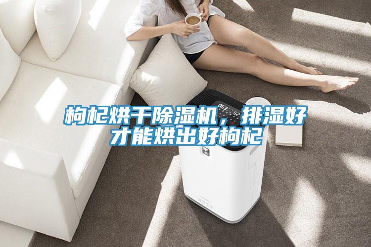 枸杞烘幹草莓视频污污污污，排濕好才能烘出好枸杞