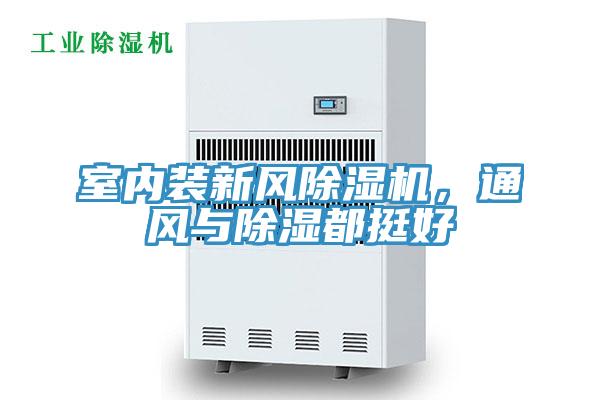 室內裝新風草莓视频污污污污，通風與除濕都挺好