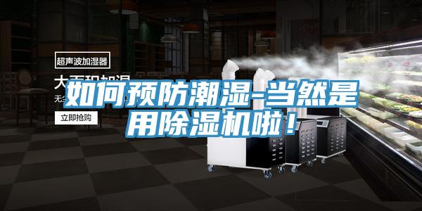 如何預防潮濕-當然是用草莓视频污污污污啦！