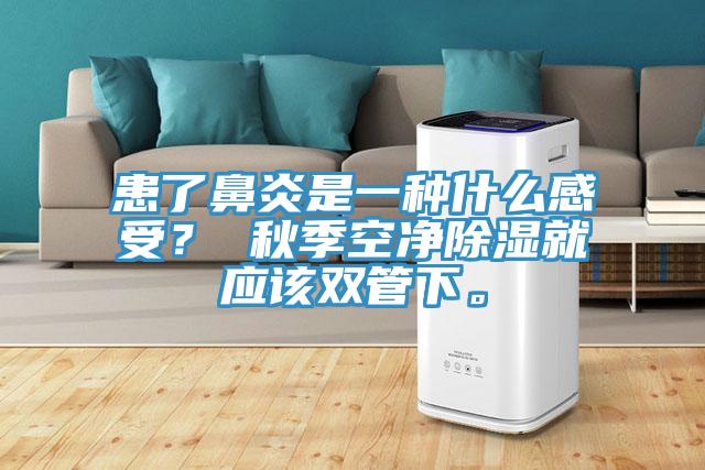 患了鼻炎是一種什麽感受？ 秋季空淨除濕就應該雙管下。