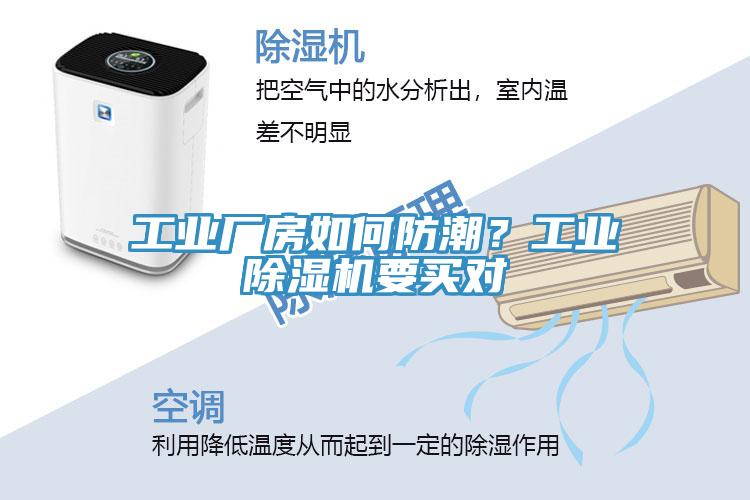 工業廠房如何防潮？工業草莓视频污污污污要買對