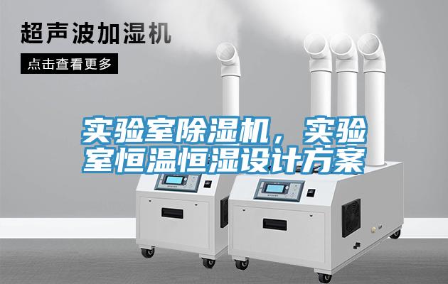 實驗室草莓视频污污污污，實驗室恒溫恒濕設計方案