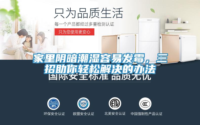 家裏陰暗潮濕容易發黴，三招助你輕鬆解決的辦法