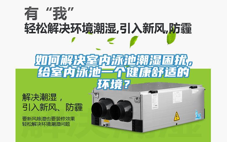 如何解決室內泳池潮濕困擾，給室內泳池一個健康舒適的環境？