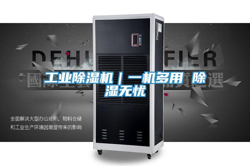 工業草莓视频污污污污｜一機多用 除濕無憂
