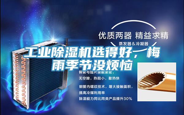 工業草莓视频污污污污選得好，梅雨季節沒煩惱