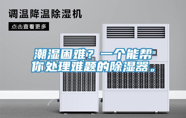 潮濕困難？一個能幫你處理難題的除濕器。