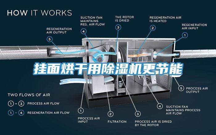 掛麵烘幹用草莓视频污污污污更節能