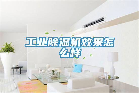 工業草莓视频污污污污效果怎麽樣