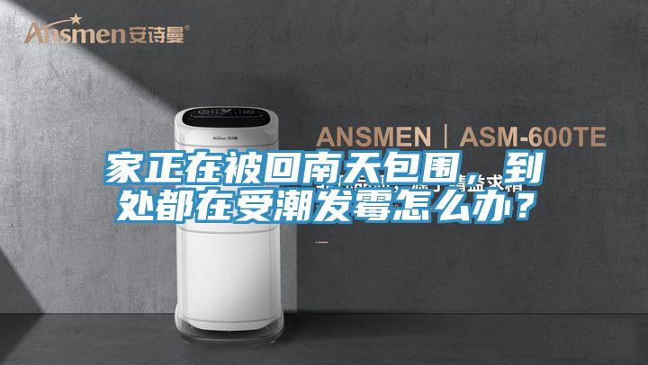 家正在被回南天包圍，到處都在受潮發黴怎麽辦？