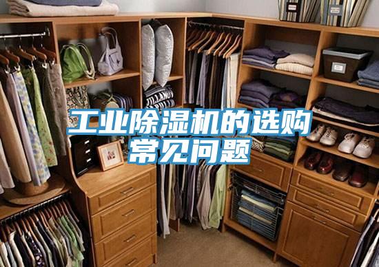 工業草莓视频污污污污的選購常見問題